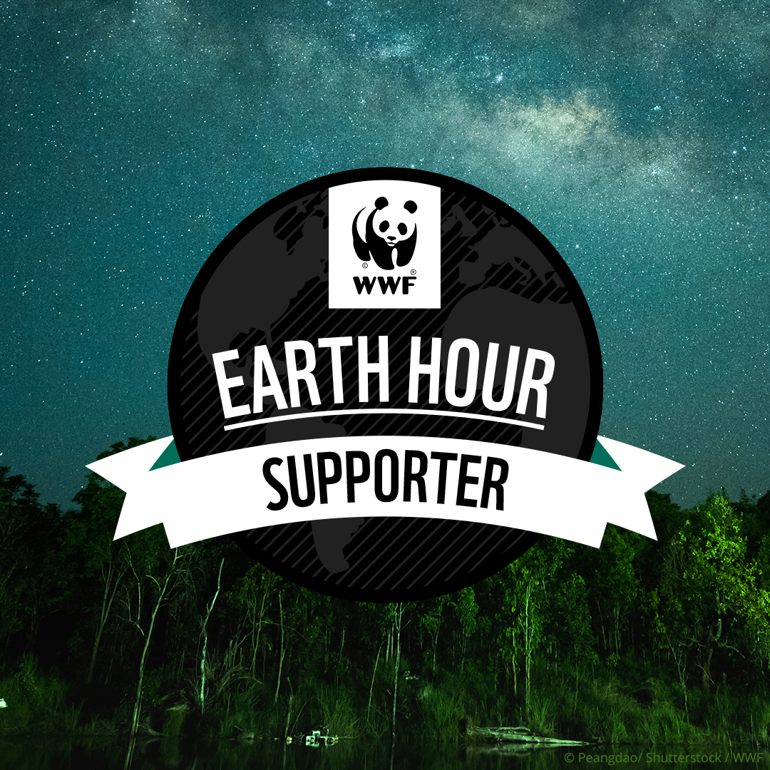 A turquoise night sky full of stars and the milky way. Overlapping text reads, 'Earth Hour Supporter'.'
