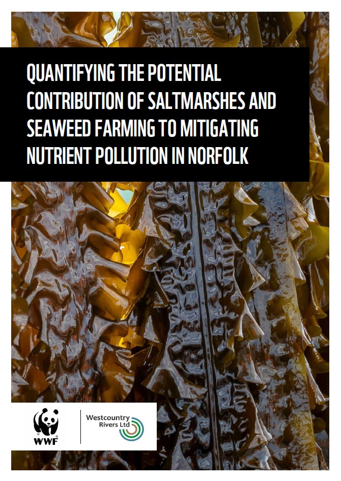 Cover image for 'Quantifying the potential contribution of saltmarshes and seaweed farming to mitigating nutrient pollution in Norfolk' report