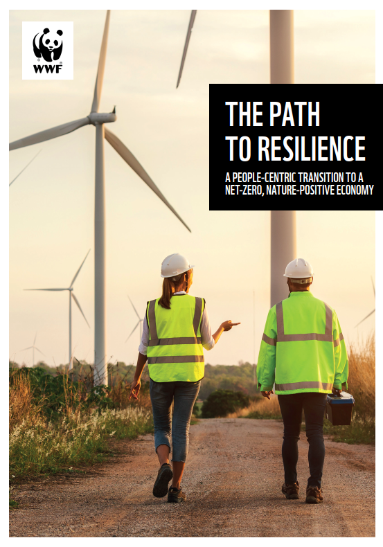 Path to resilience report cover