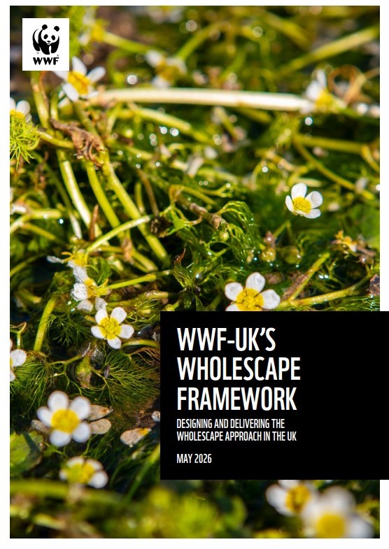 WWF-UK's Wholescape Framework report cover image