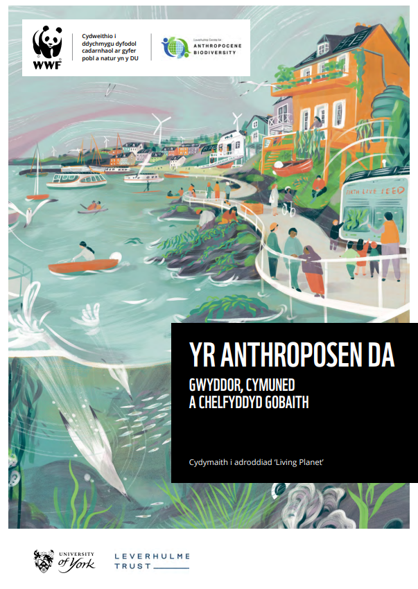 yr anthroposen da