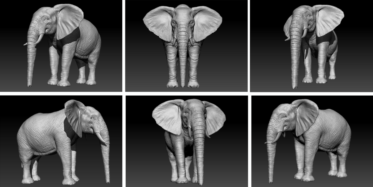 CGI Elephant