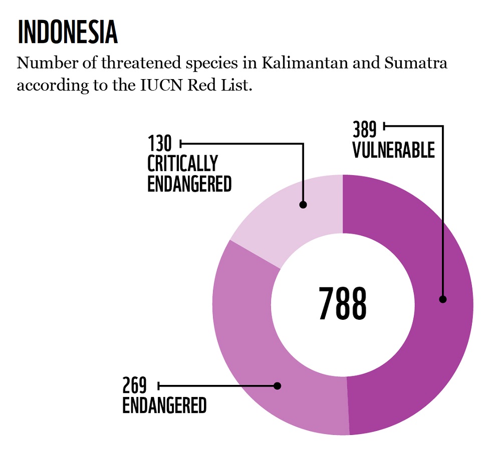 Indonesia threatened Species