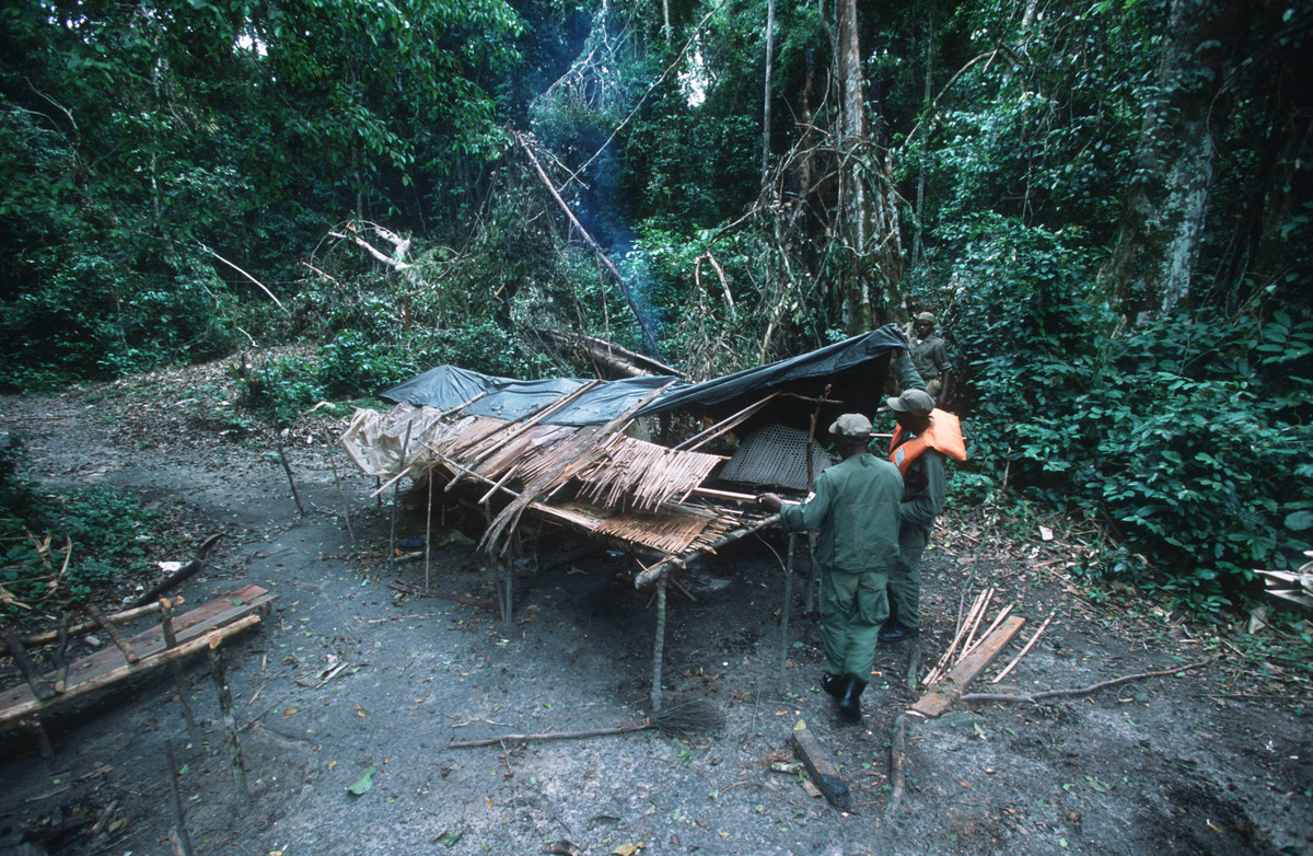 WWF International staff check hide for evidence of bushmeat. Gabon, Central Africa