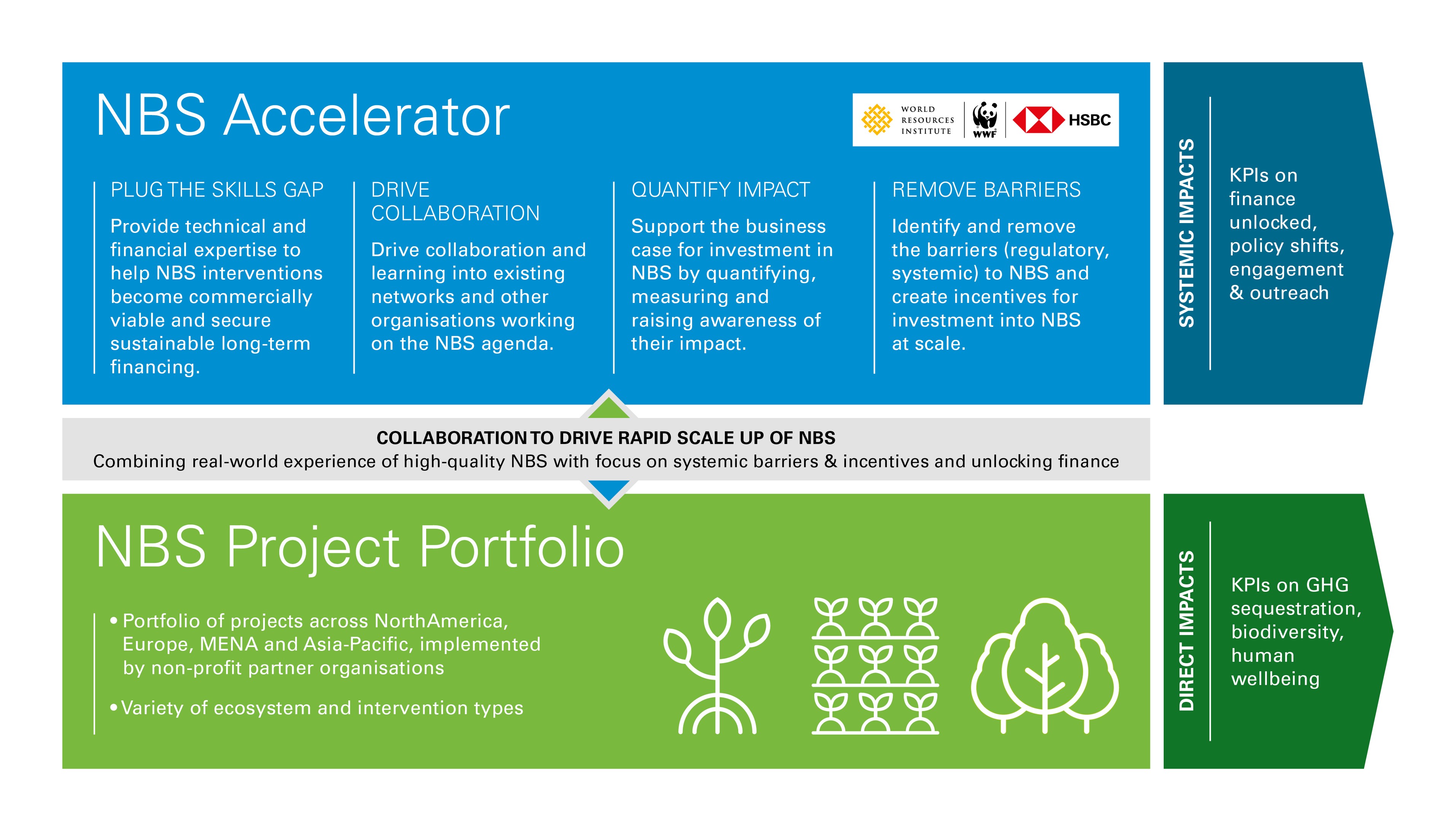 nbs accelerator