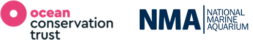 Ocean Conservation Trust / National Marine Aquarium
