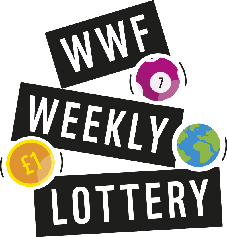 Weekly Lottery logo