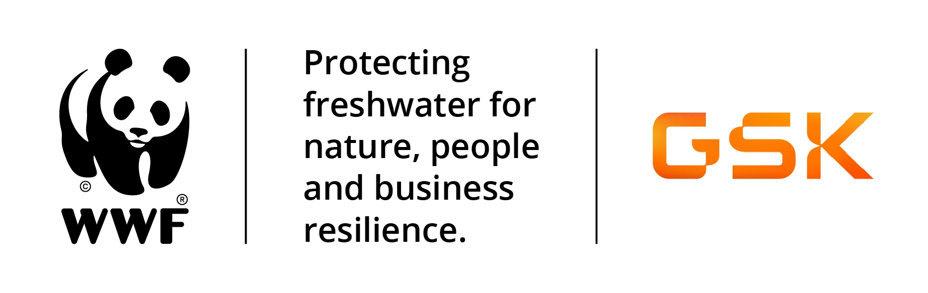 WWF and GSK logos with the text 'protecting freshwater for nature, people and business resilience.'