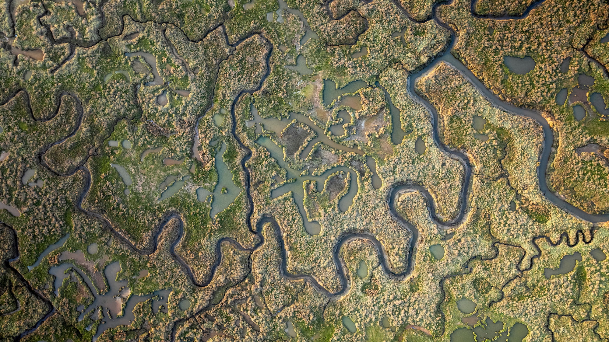 Drone shot of Stiffkey Marshes as tide comes in. Stiffkey Marshes, Stiffkey, North Norfolk, UK.