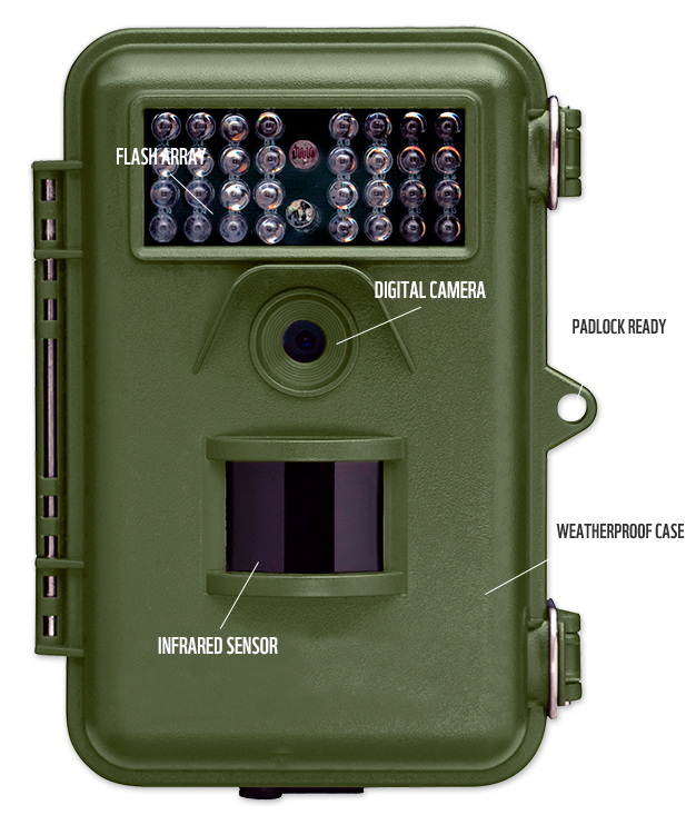 Modern camera trap