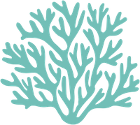 Cold-Water Coral image