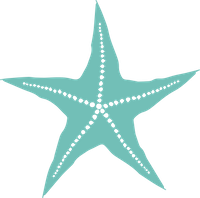 Common Starfish image