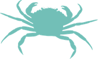 Spiny Spider Crab image