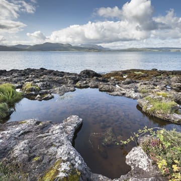 Rockpools image