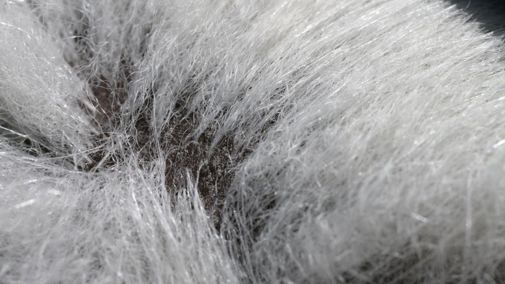 Polar bear skin