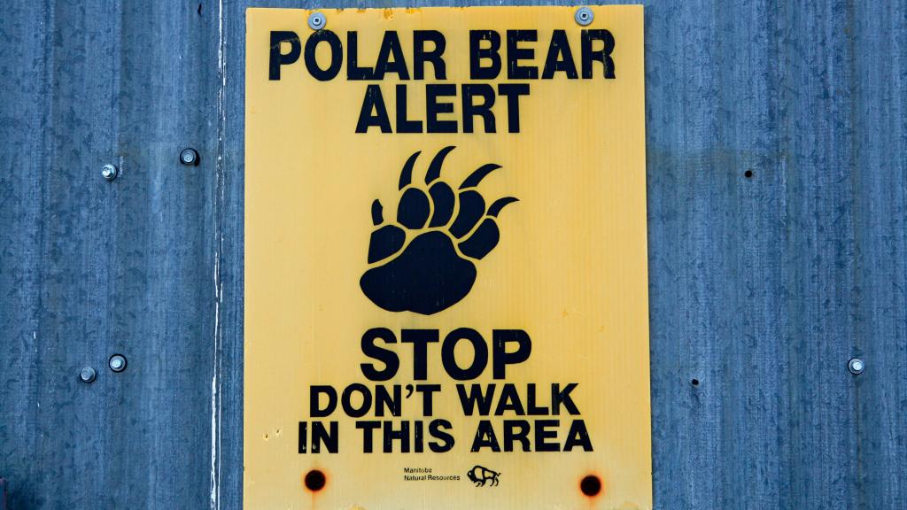 Polar bear warning sign