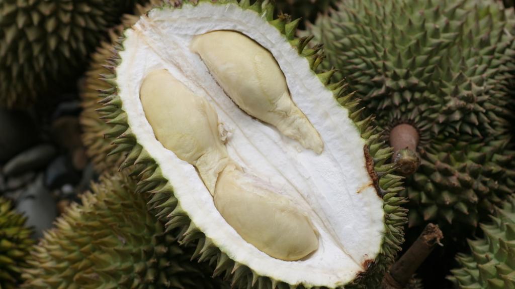 Durian fruit