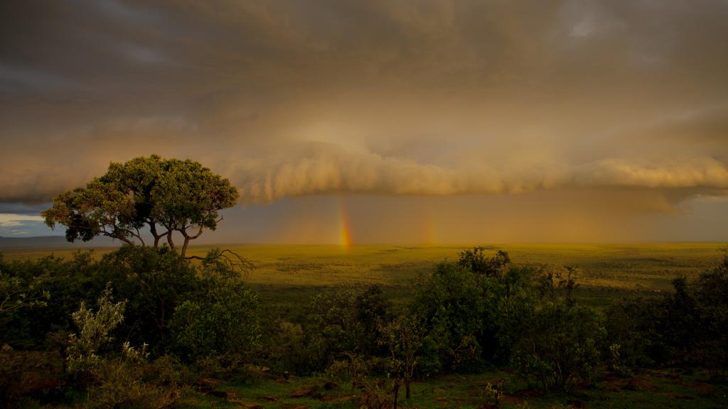 Storm clouds over the Maasai Mara