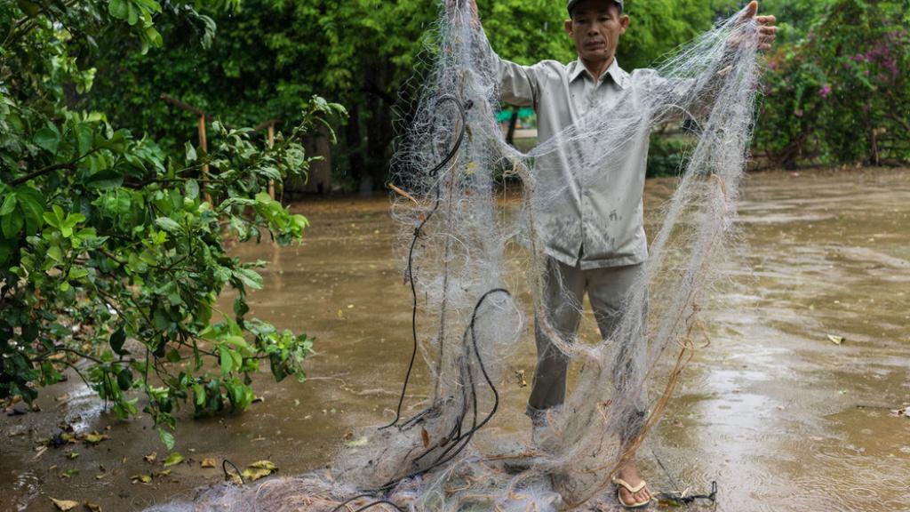 WWF's conservation work in the Greater Mekong