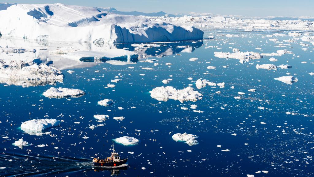 Fishing vessel attracts seabirds against a background of icebergs