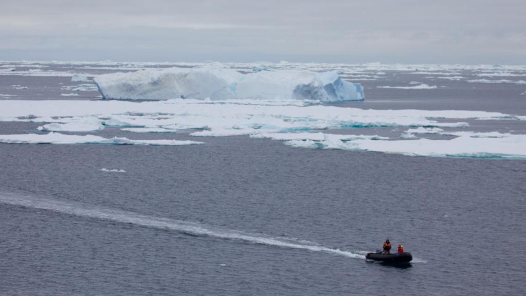 Members of the whale research team travel back to the ship in a zodiac after tagging a humpback whale along the Antarctic Peninsula.