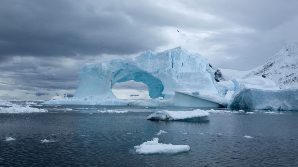 Glacier and icebergs, Antarctica