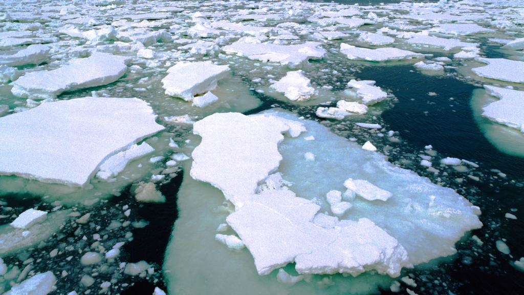 Drifting melting ice in sea, Antarctica. 