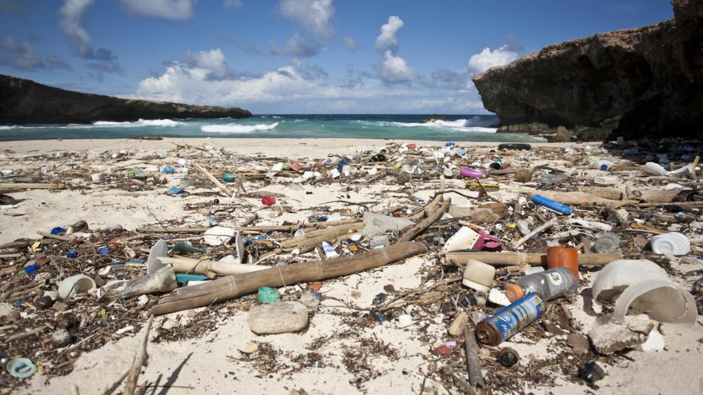 Plastic garbage litters a beach on the Caribbean Sea in Boca Prins, Aruba