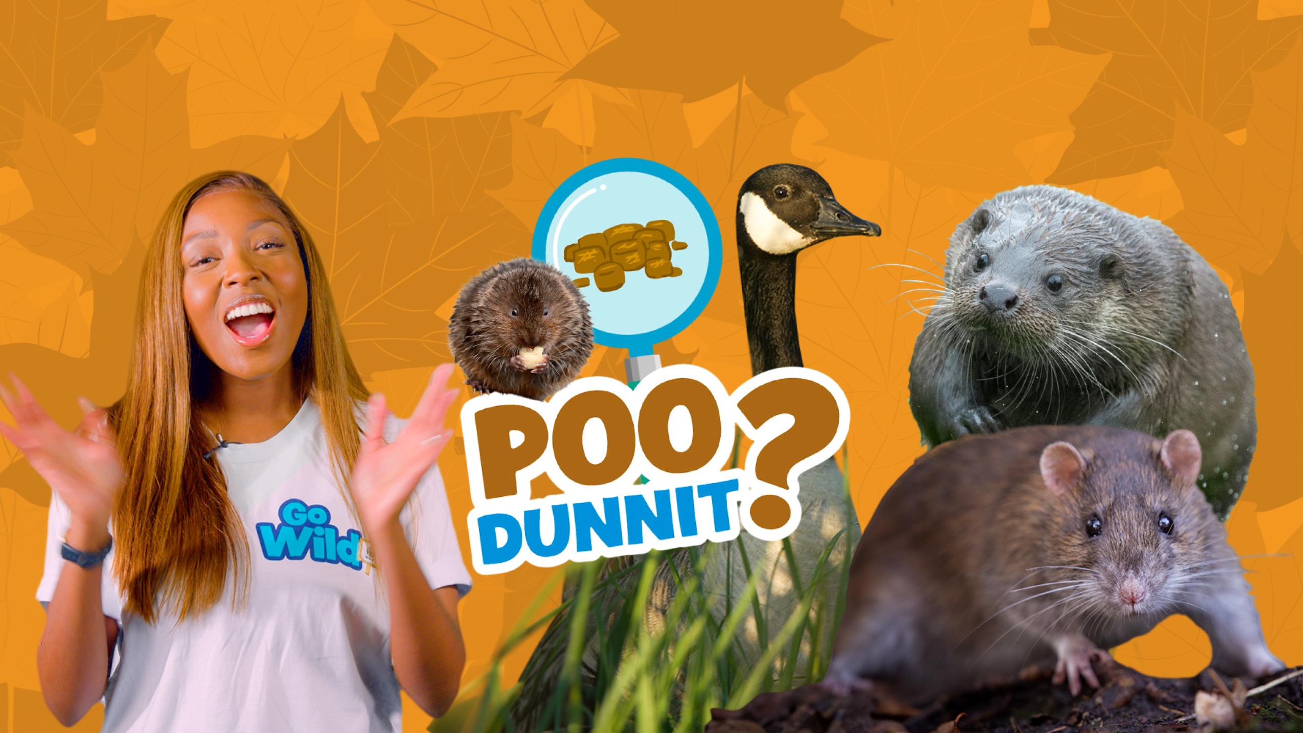 Poo Rocks Poo quiz: Poo on the rocks | WWF
