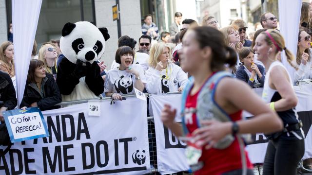 Team panda supporters at the London marathon