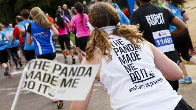 Team panda runner at Royal Parks Half