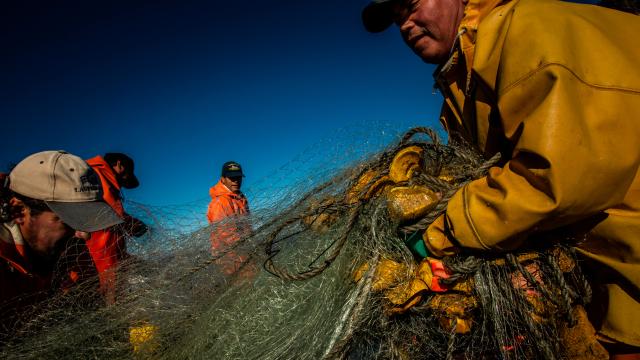 Crew on a fishing boat