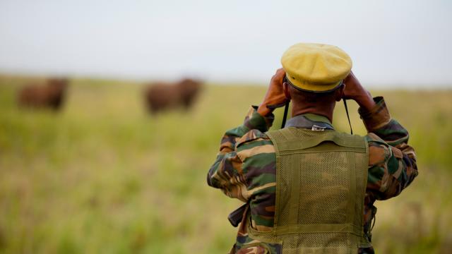 Harrison Kamande - rhino patrol ranger at Nairobi National Park, Kenya
