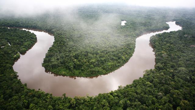 Aerial shot of a winding river, Amazon rainforest, Loreto region, Peru.