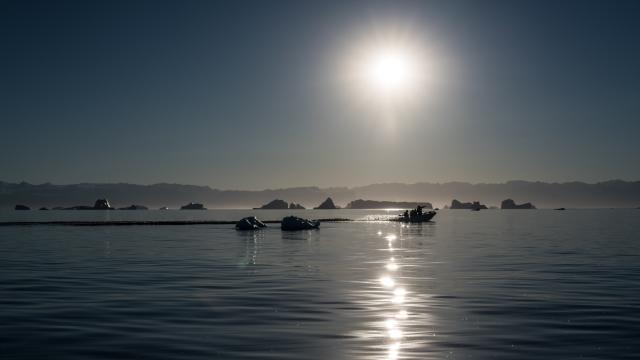 Speedboat in amongst icebergs in the Arctic