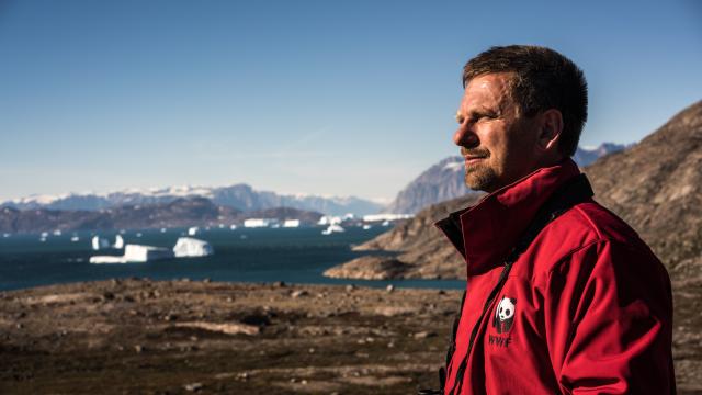 WWF staff in the Arctic