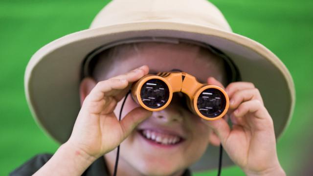 Amazing Amazon workshop at the Living Planet Centre © Tristan Fewings / WWF-UK