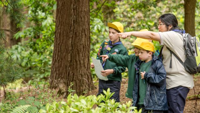 Youth groups exploring nature  © Richard Stonehouse / WWF-UK