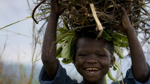 A smiling boy carrying firewood for sale