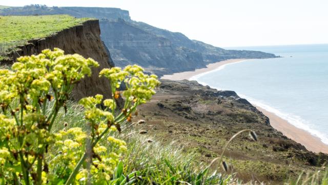 Isle of Wight Challenge