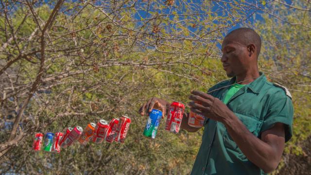 Humphrey Mwanga, a community game guard putting up a tin-can fence