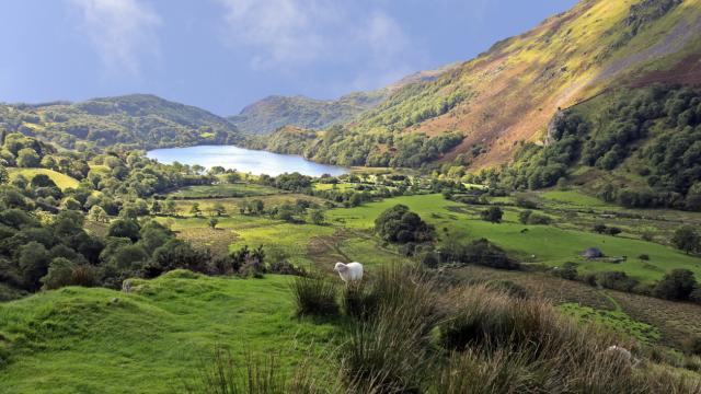 Llyn Gwynant, Snowdonia National Park, Wales