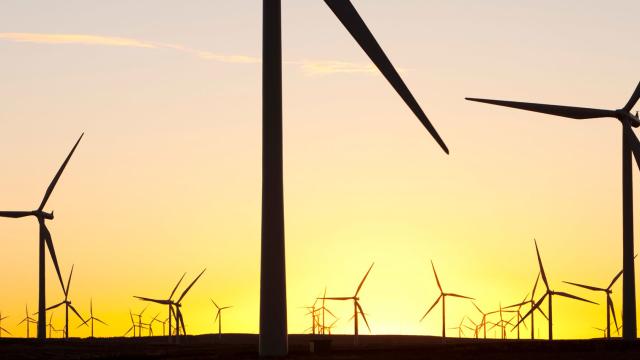 Dawn over Whitlee wind farm