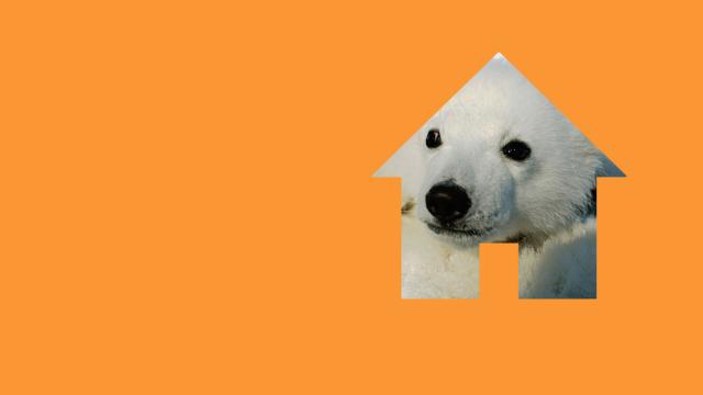 Campaign with WWF urge UK Government act on climate change