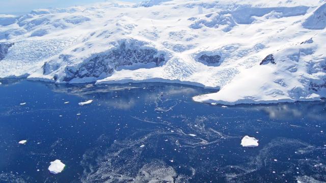 Flying over Gentoo penguin colonies, Neko Harbour, Antarctica