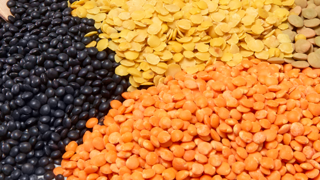 Knorr launch The Future 50 Foods - Lentils