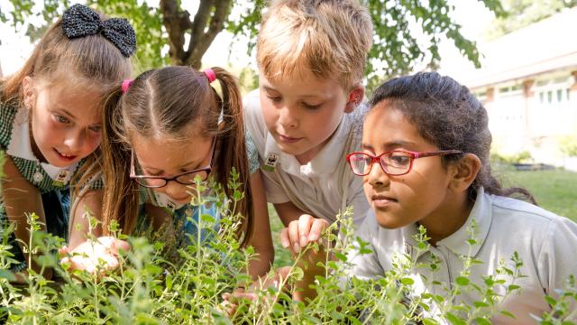 Tes and Warren Road Primary, Green Ambassador School of the year 2017 © Richard Stonehouse / WWF-UK
