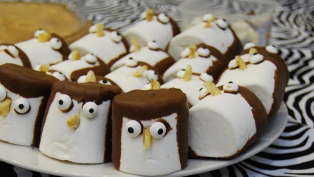 Wear it wild cake ideas