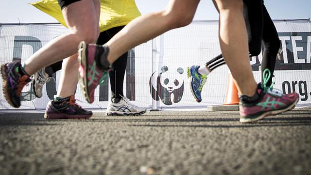 People running for Team Panda