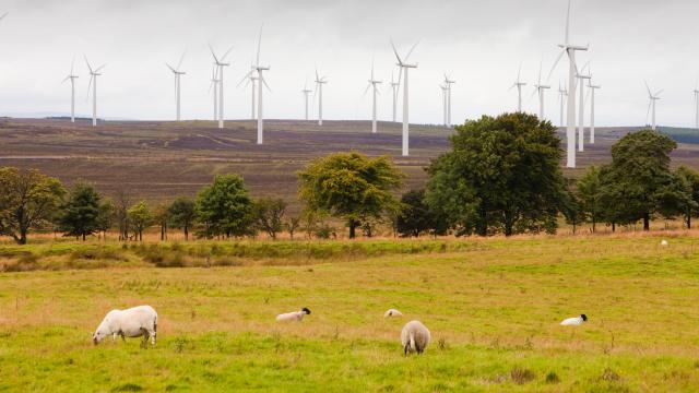 Black Law windfarm near Carluke in Scotland, UK.